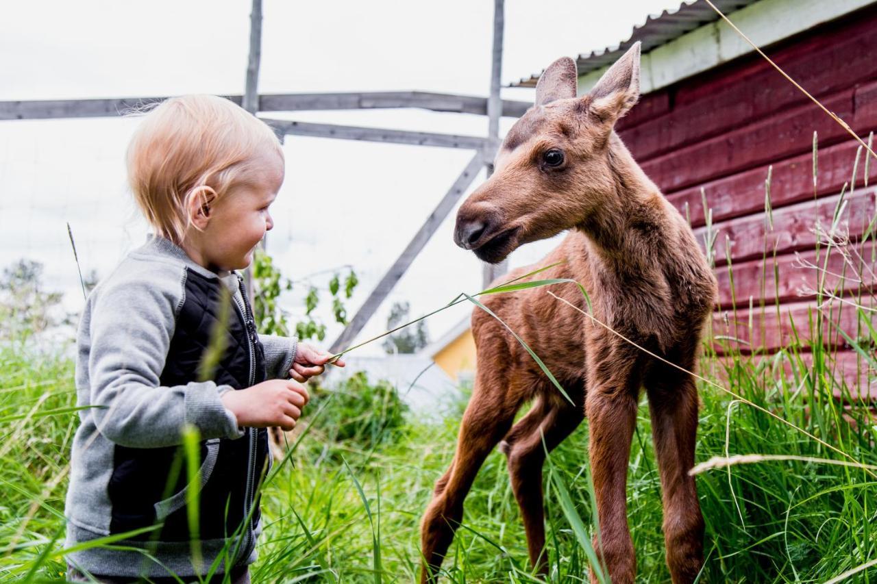 فيلا Moose Garden Orrviken المظهر الخارجي الصورة